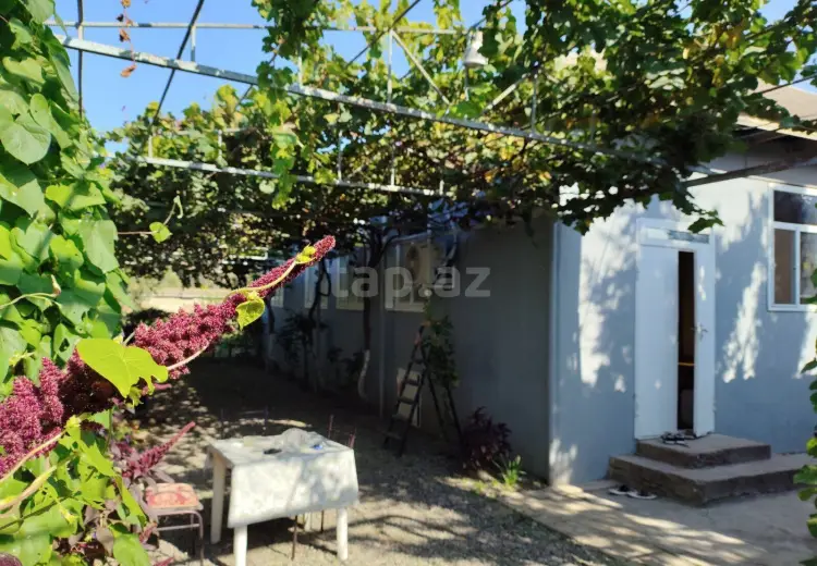 5 otaqlı mənzil , Biləsuvar
