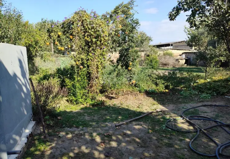 5 otaqlı mənzil , Biləsuvar