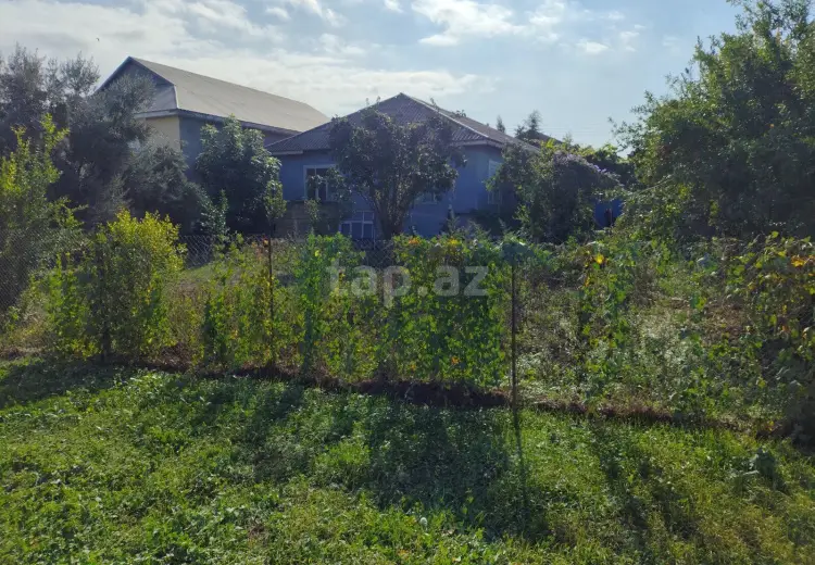 5 otaqlı mənzil , Biləsuvar