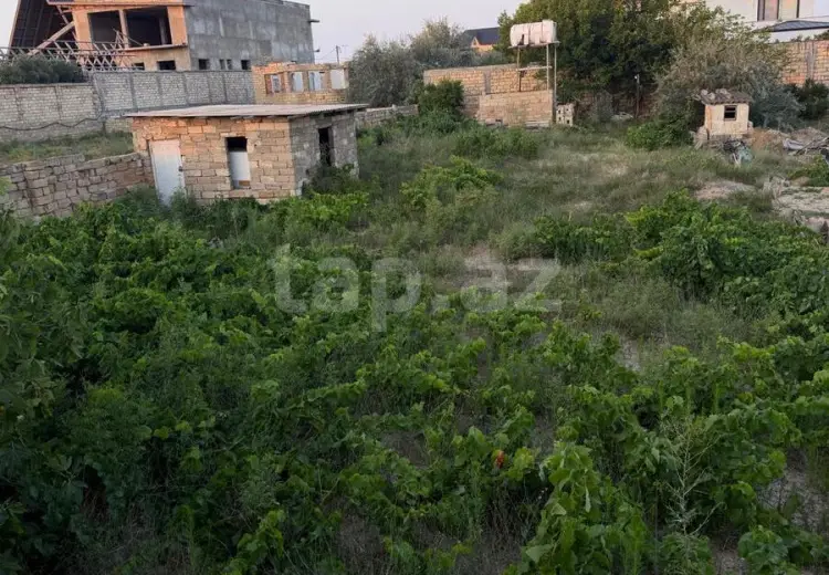 0 m² Obyekt / Ofis , Bilgəh qəs., Sabunçu, Bakı