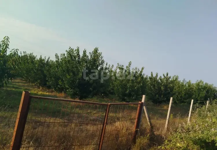 0 m² Obyekt / Ofis , Xaçmaz