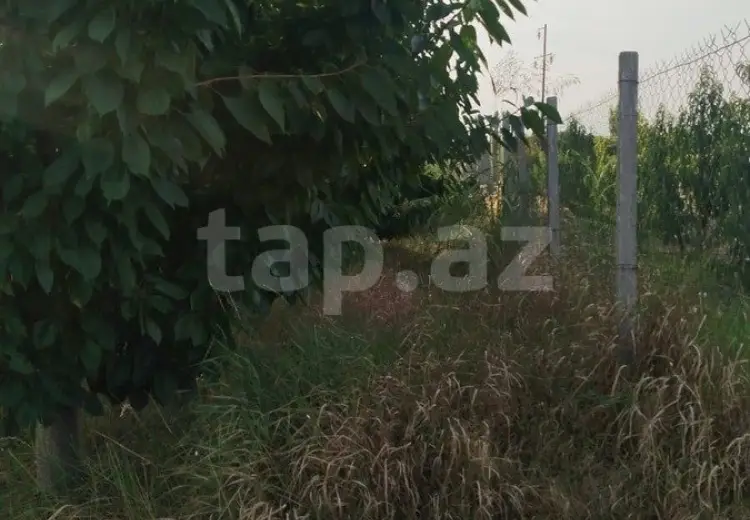 0 m² Obyekt / Ofis , Xaçmaz