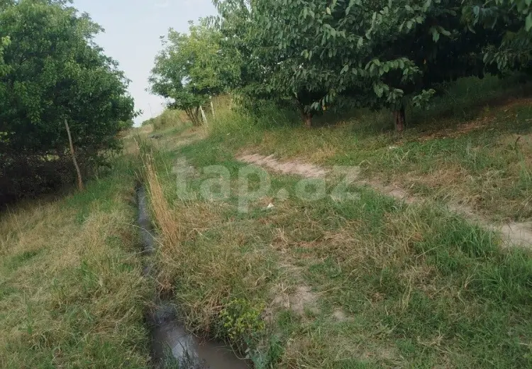 0 m² Obyekt / Ofis , Xaçmaz