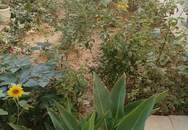4 otaqlı mənzil Satılır, Badamdar qəs., Səbail, Bakı