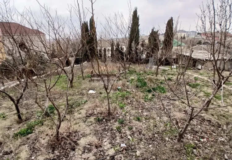 0 m² Obyekt / Ofis , Masazır, Abşeron