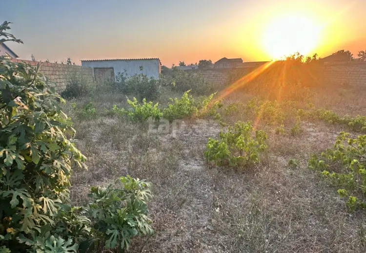 0 m² Obyekt / Ofis , Novxanı, Abşeron