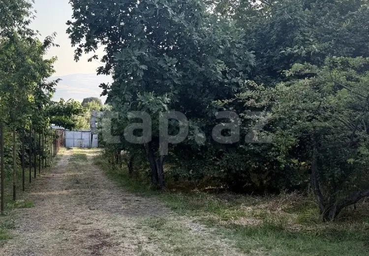 0 m² Obyekt / Ofis , İsmayıllı