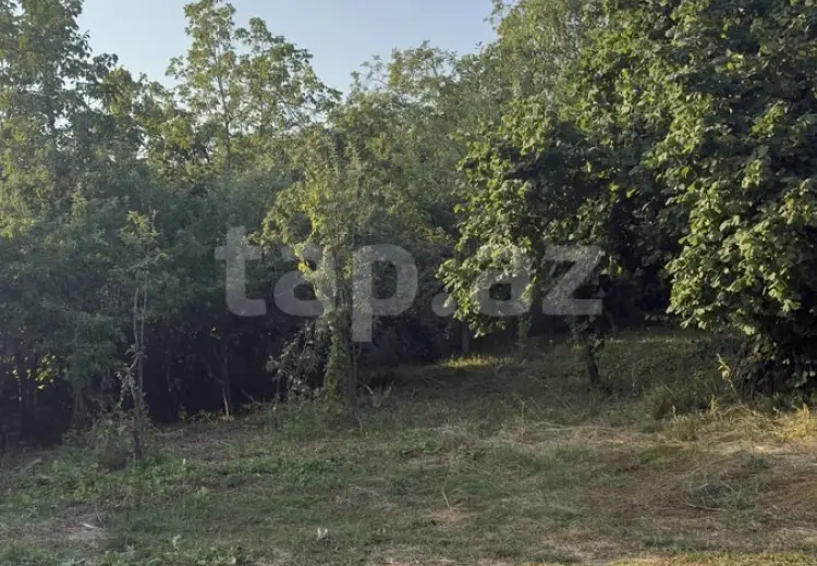 0 m² Obyekt / Ofis , İsmayıllı