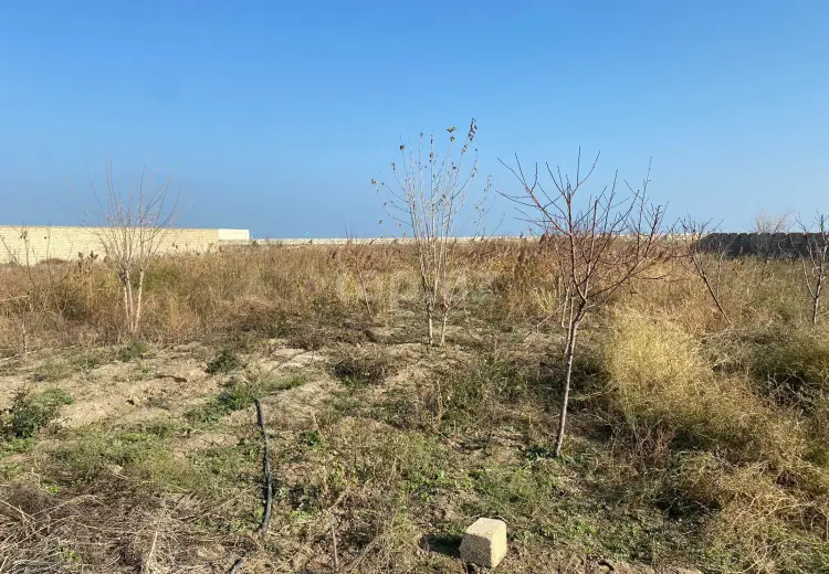 0 m² Obyekt / Ofis , Siyəzən