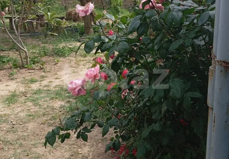 3 otaqlı mənzil Kirayə (aylıq), Kürdəxanı qəs., Sabunçu, Bakı