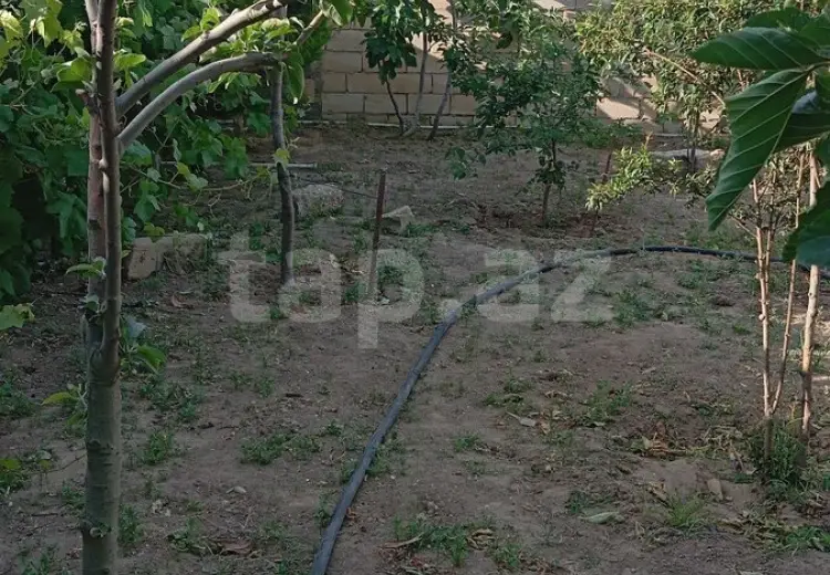 3 otaqlı mənzil Kirayə (aylıq), Kürdəxanı qəs., Sabunçu, Bakı