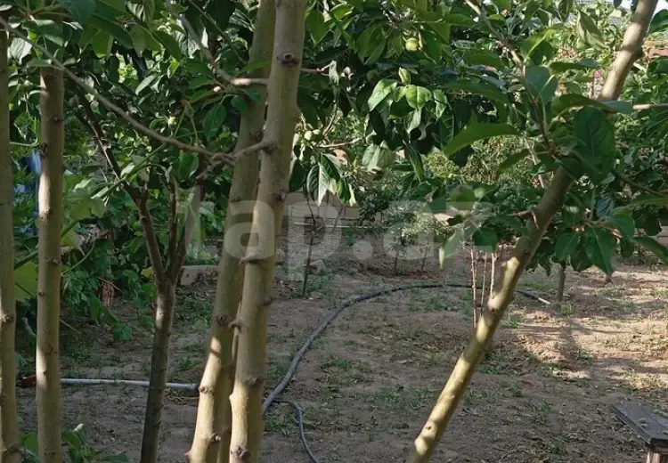 3 otaqlı mənzil Kirayə (aylıq), Kürdəxanı qəs., Sabunçu, Bakı