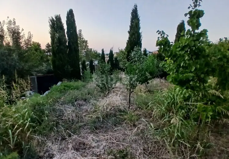 0 m² Obyekt / Ofis , Masazır, Abşeron