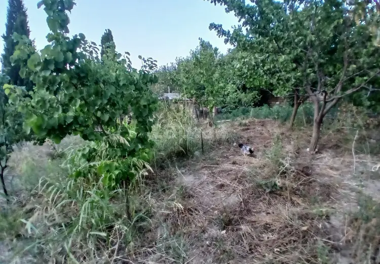 0 m² Obyekt / Ofis , Masazır, Abşeron