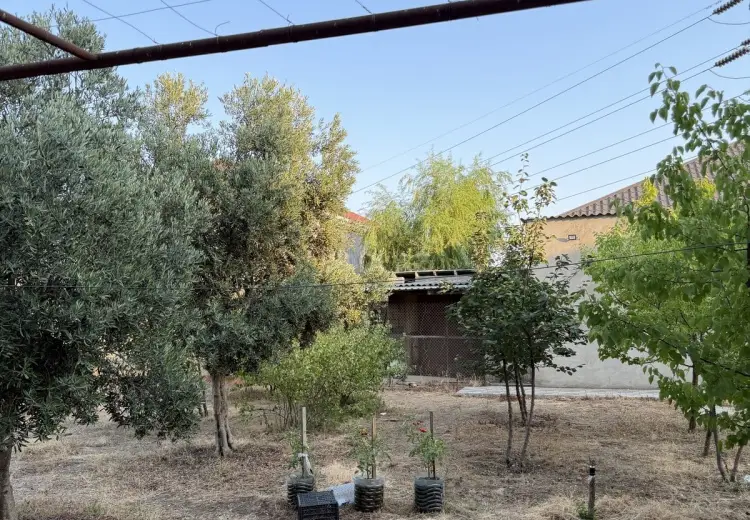 5 sot Torpaq Satılır, Buzovna, Xəzər, Bakı