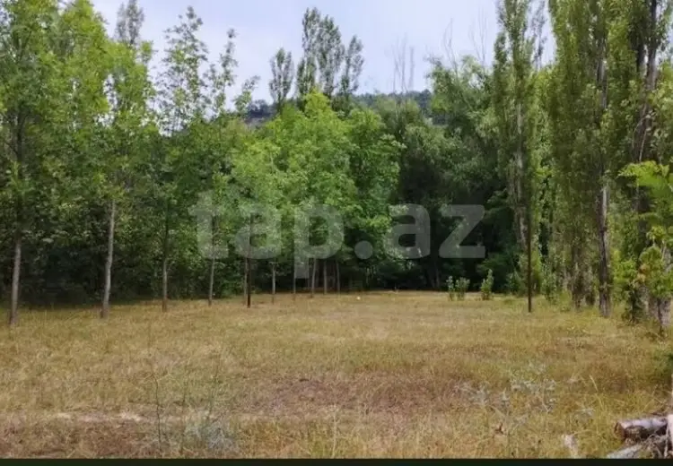 0 m² Obyekt / Ofis , Qusar