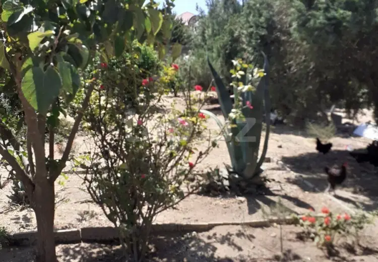 3 otaqlı mənzil Kirayə (aylıq), Albalı qəs., Sabunçu, Bakı
