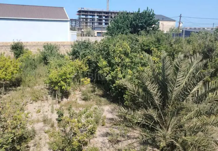 8 sot Torpaq Satılır, Nardaran qəs., Sabunçu, Bakı