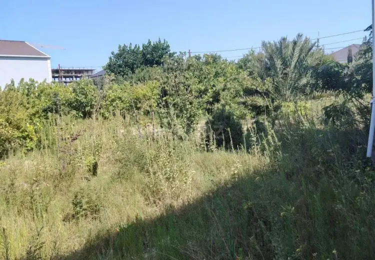 8 sot Torpaq Satılır, Nardaran qəs., Sabunçu, Bakı