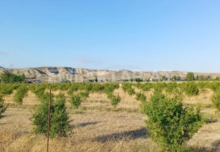 200 sot Torpaq Satılır, Göyçay