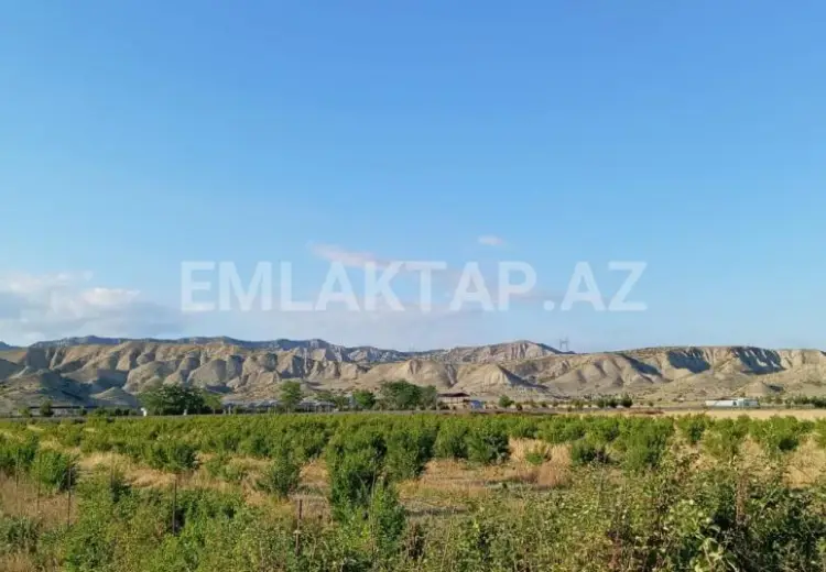 200 sot Torpaq Satılır, Göyçay