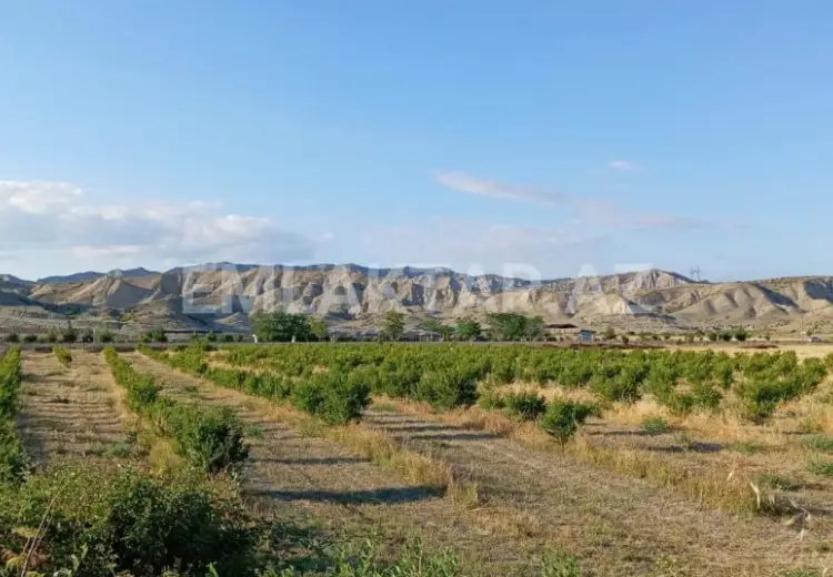 200 sot Torpaq Satılır, Göyçay
