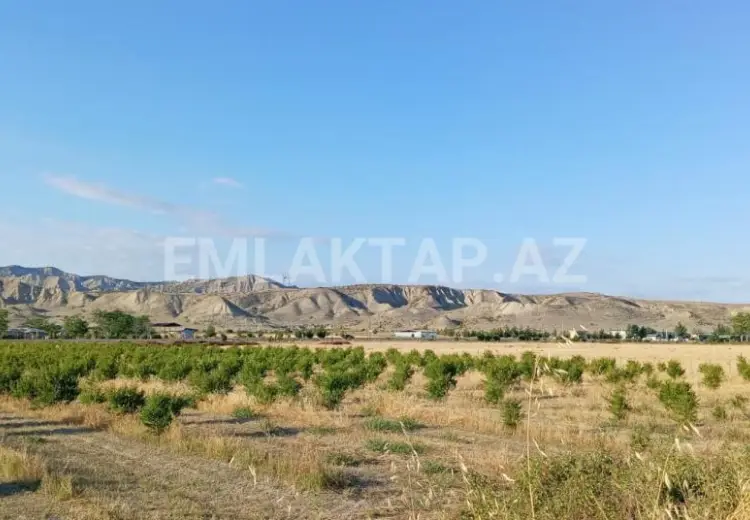 200 sot Torpaq Satılır, Göyçay