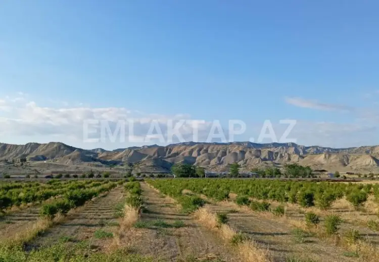 200 sot Torpaq Satılır, Göyçay