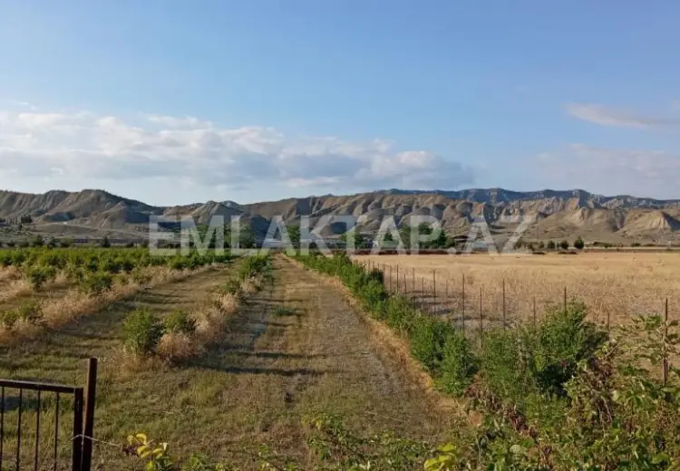 200 sot Torpaq Satılır, Göyçay