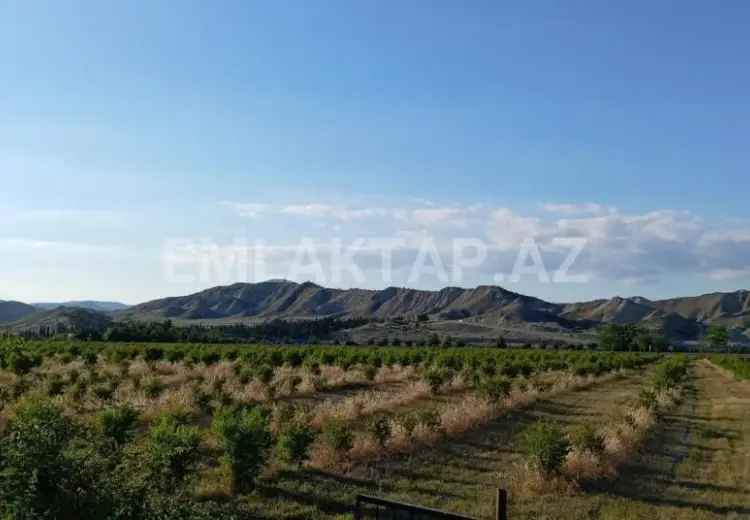200 sot Torpaq Satılır, Göyçay