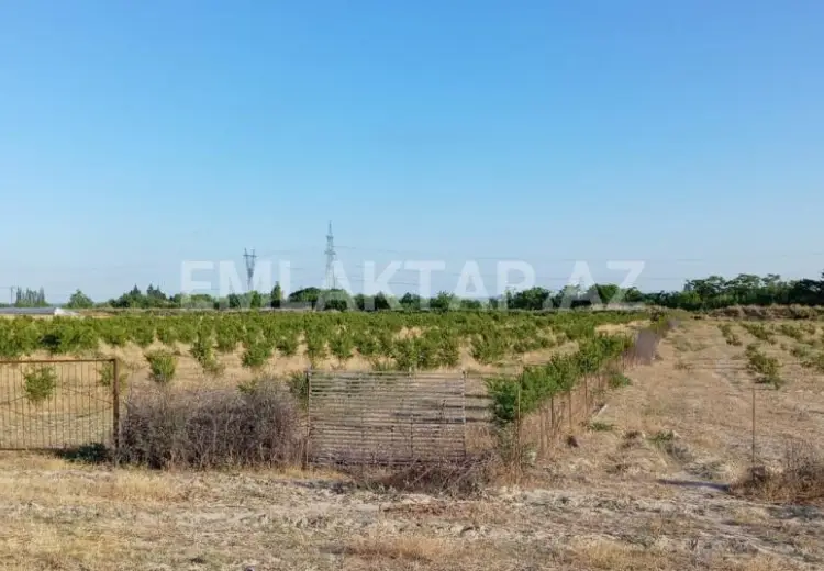 200 sot Torpaq Satılır, Göyçay