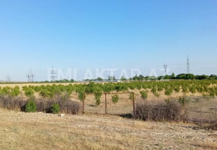 200 sot Torpaq Satılır, Göyçay