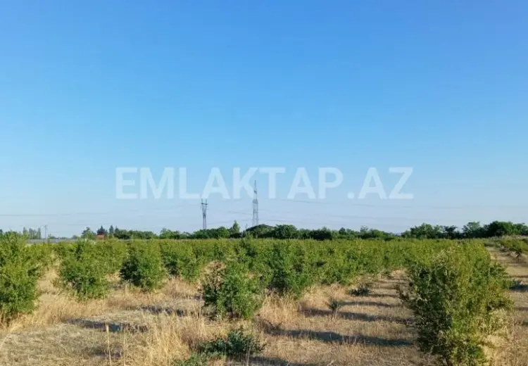 200 sot Torpaq Satılır, Göyçay