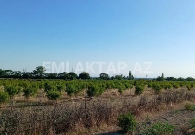 200 sot Torpaq Satılır, Göyçay