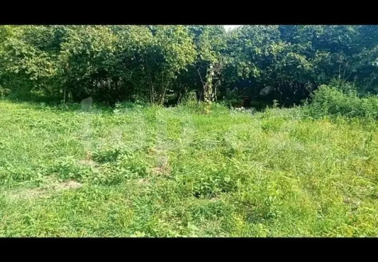 0 m² Obyekt / Ofis , Qax