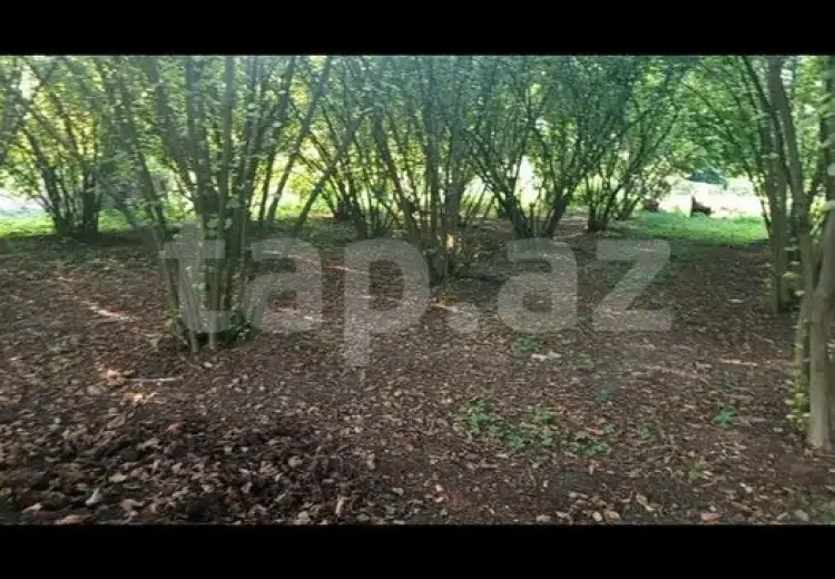 0 m² Obyekt / Ofis , Qax