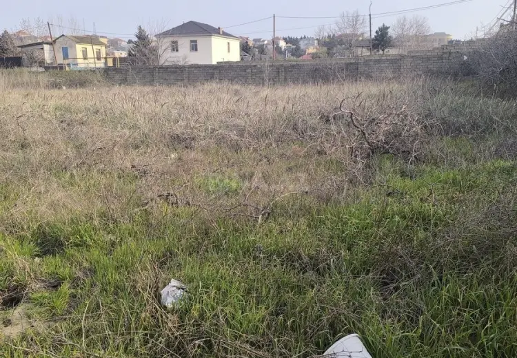 41 sot Torpaq Satılır, Novxanı, Abşeron