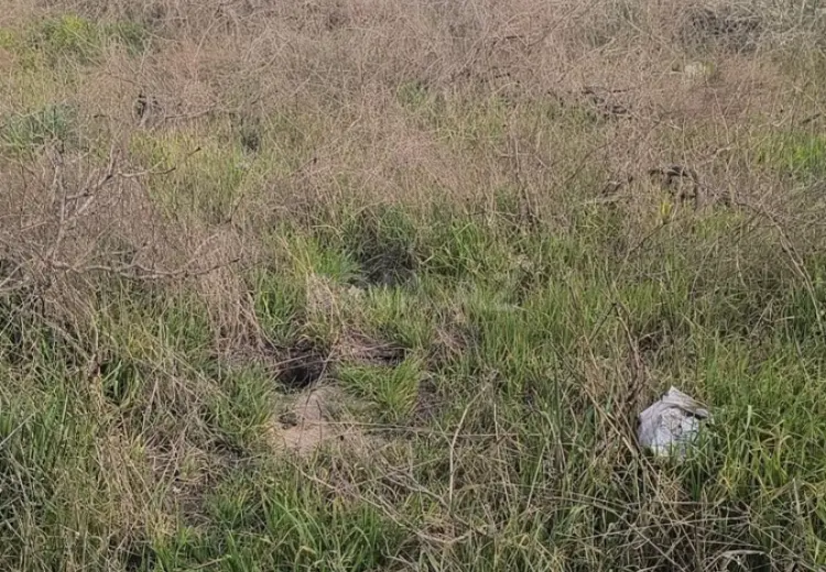 41 sot Torpaq Satılır, Novxanı, Abşeron