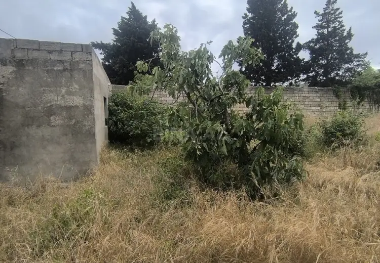 12 sot Torpaq Satılır, Novxanı, Abşeron