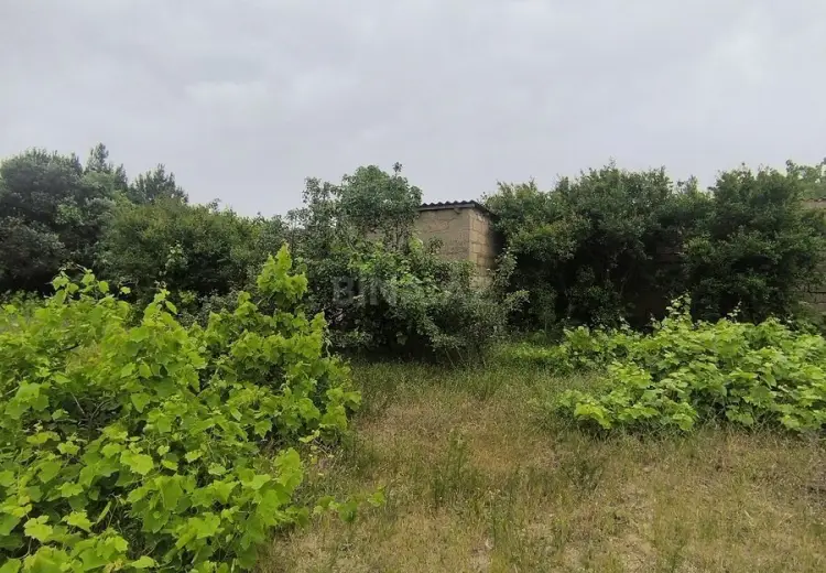 2 sot Torpaq Satılır, Goradil, Abşeron