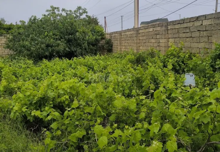 2 sot Torpaq Satılır, Goradil, Abşeron