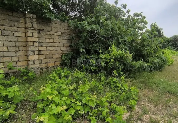 2 sot Torpaq Satılır, Goradil, Abşeron