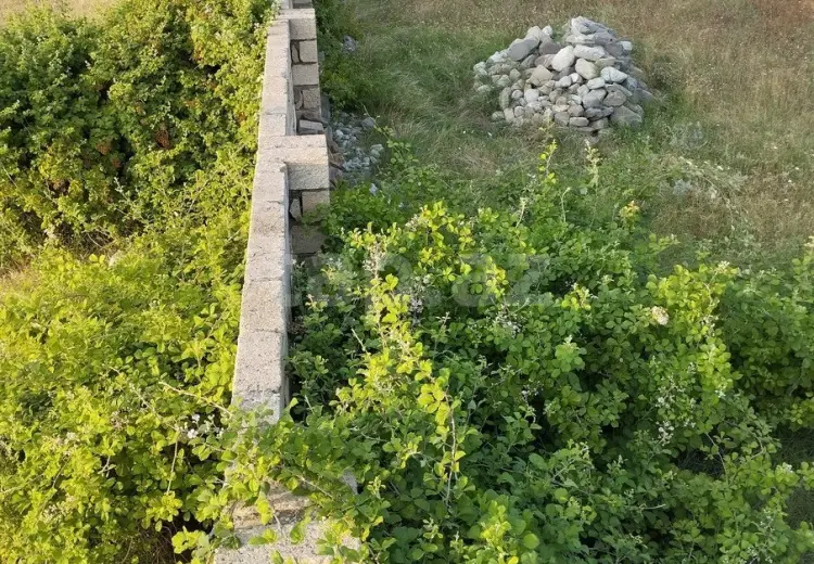 0 m² Obyekt / Ofis , Şəki