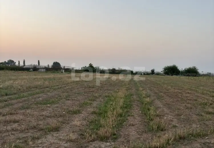 0 m² Obyekt / Ofis , Şəmkir