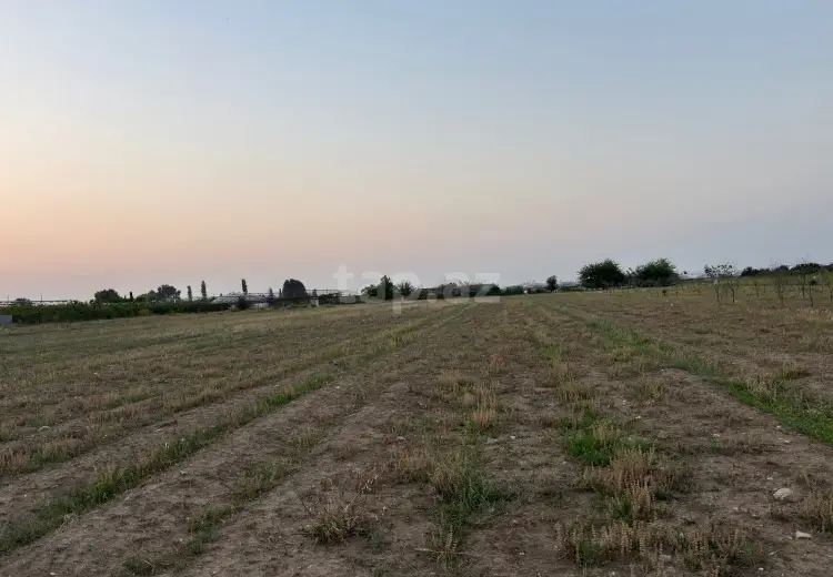 0 m² Obyekt / Ofis , Şəmkir