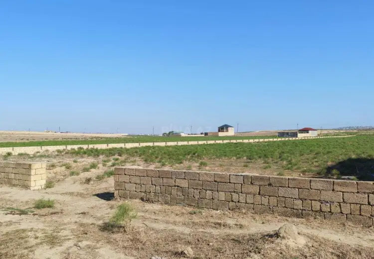 100 sot Torpaq Satılır, Novxanı, Abşeron