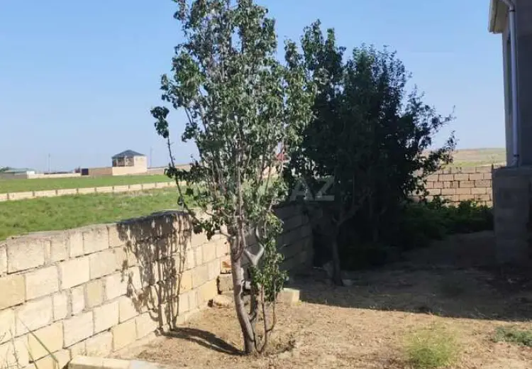 100 sot Torpaq Satılır, Novxanı, Abşeron