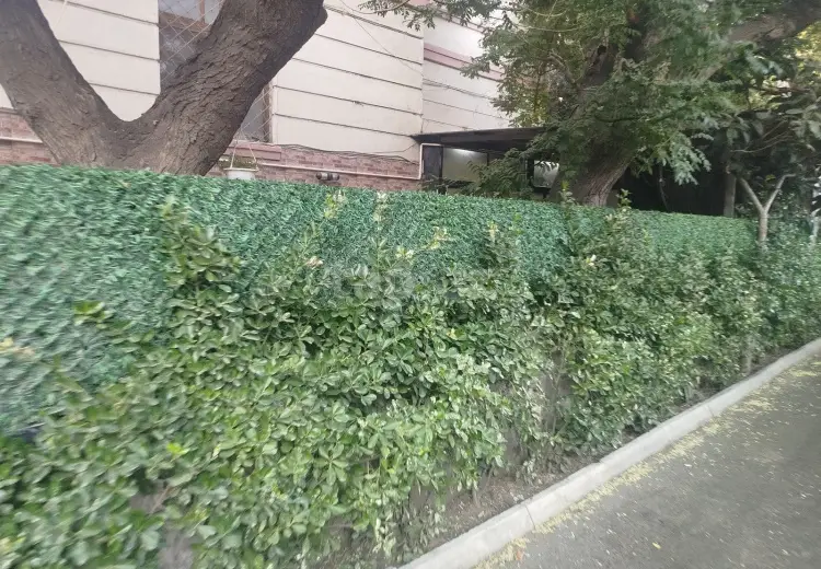 0 m² Obyekt / Ofis , Nərimanov, Bakı
