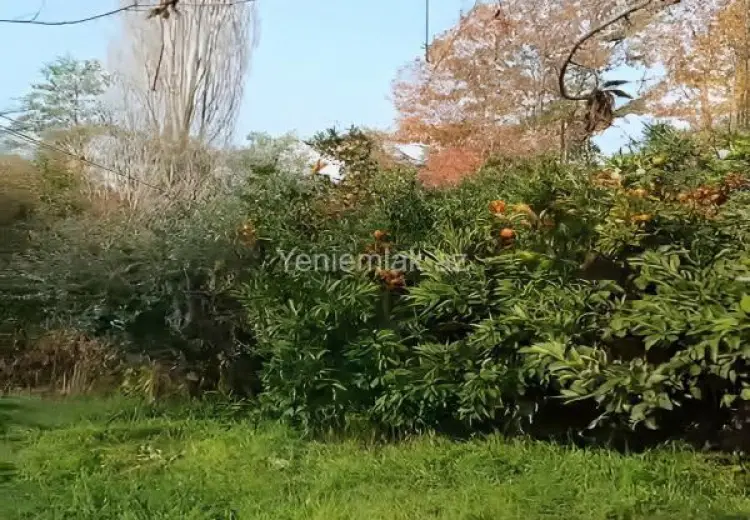 14 sot Torpaq Satılır, Lənkəran