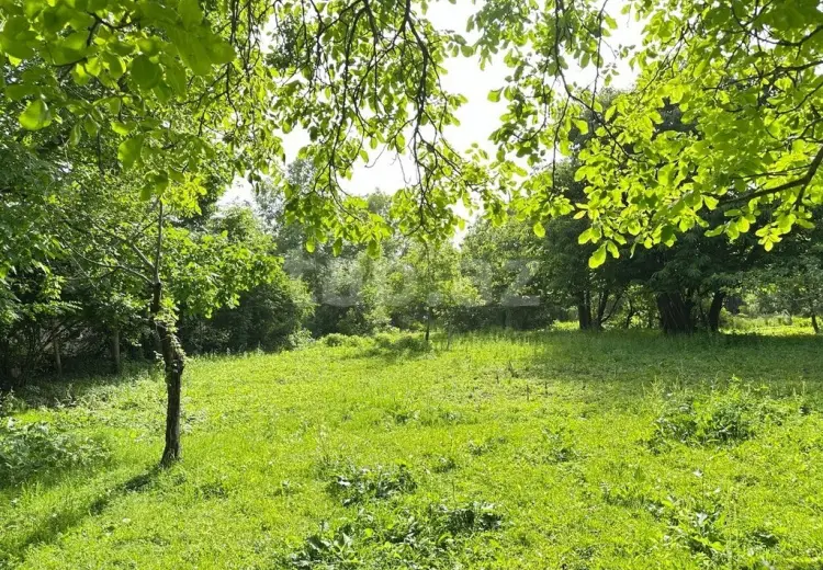 0 m² Obyekt / Ofis , Qəbələ